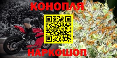 твердый Гай