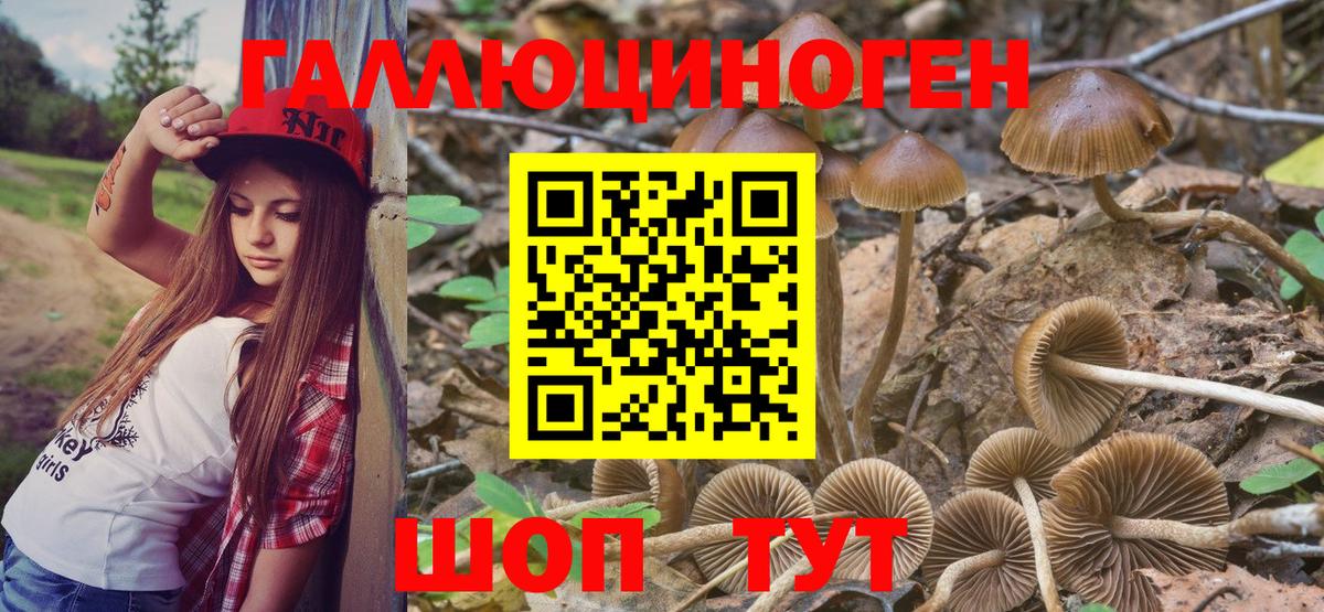 Галлюциногенные грибы Cubensis Ипатово